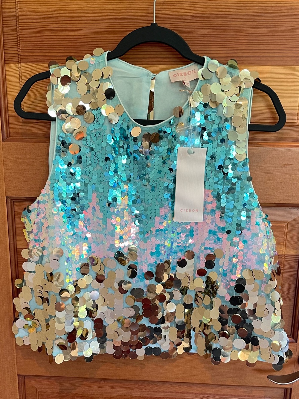Ciebon Sleeveless Ombre Mermaid Sequin Top - NWT - Women’s Large
